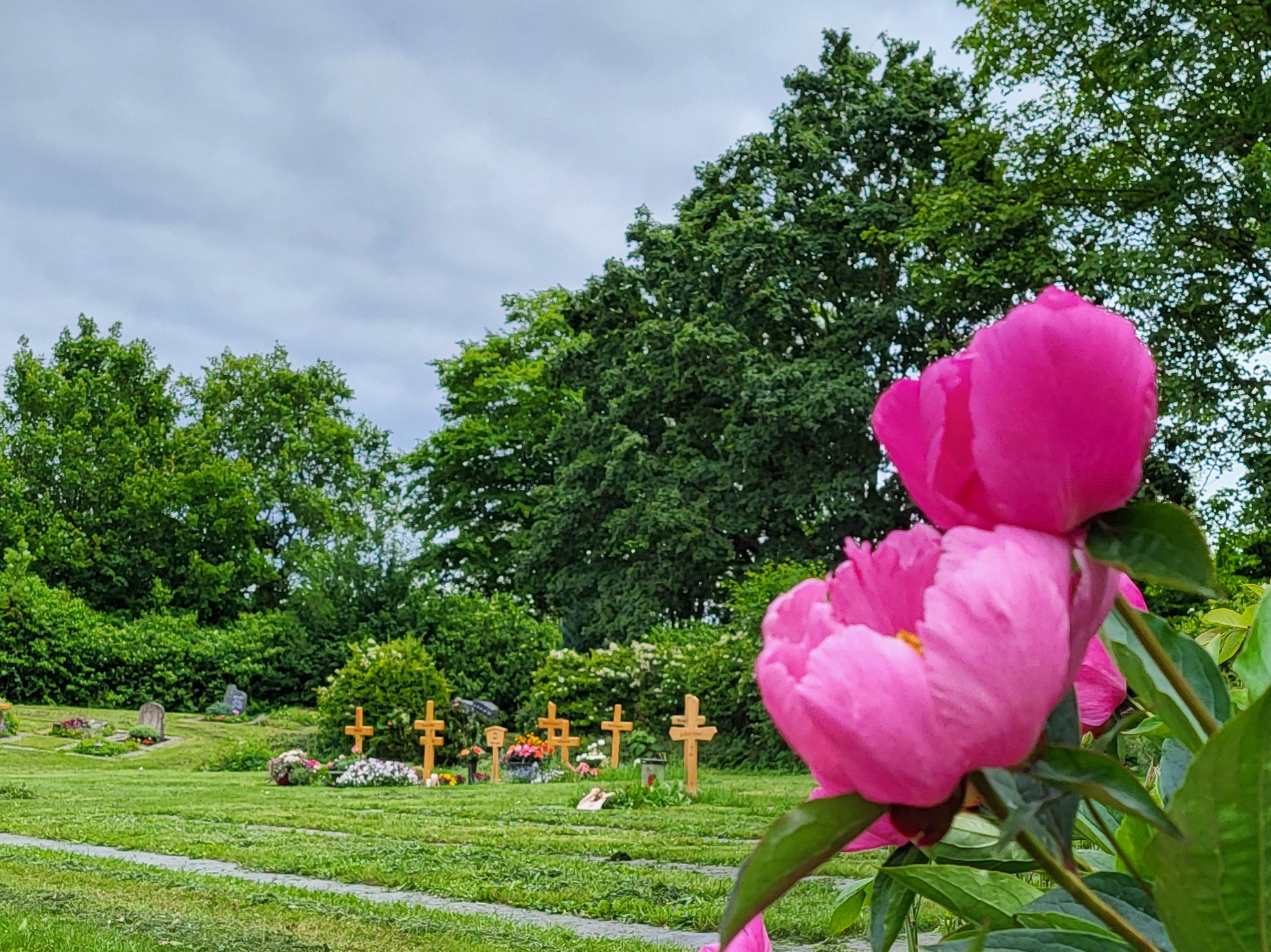  zu sehen ist ein Grabfeld auf dem Friedhof Weinsteige 